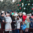 В Антраците зажгла огни городская елка - Администрация города Антрацита и Антрацитовского района