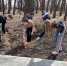В Антраците продолжаются работы по благоустройству парка Победы - Администрация города Антрацита и Антрацитовского района
