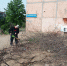 Мероприятия по благоустройству территории находятся на контроле главы округа - Администрация города Антрацита и Антрацитовского района