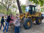 В Антраците состоялся всероссийский экологический субботник "Зелёная Россия"